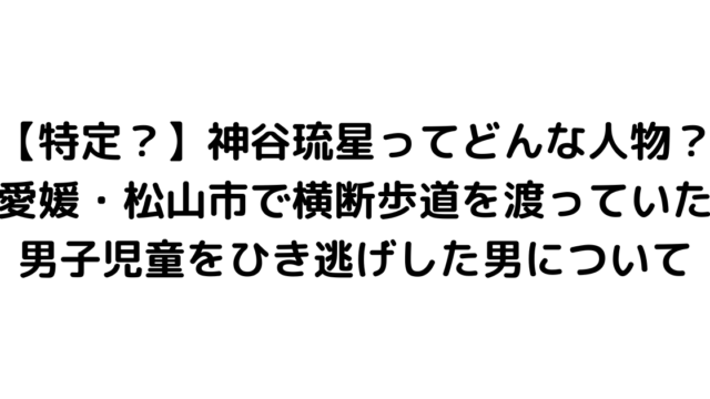 【特定？】神谷琉星ってどんな人物？愛媛・松山市で横断歩道を渡っていた男子児童をひき逃げした男について